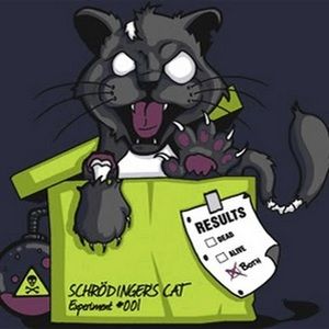 Meet your Posher, Tinb